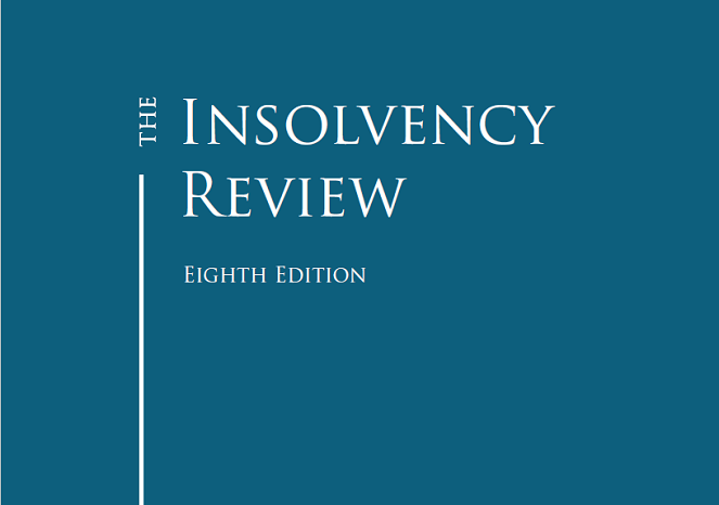 Insolvency Review 2020