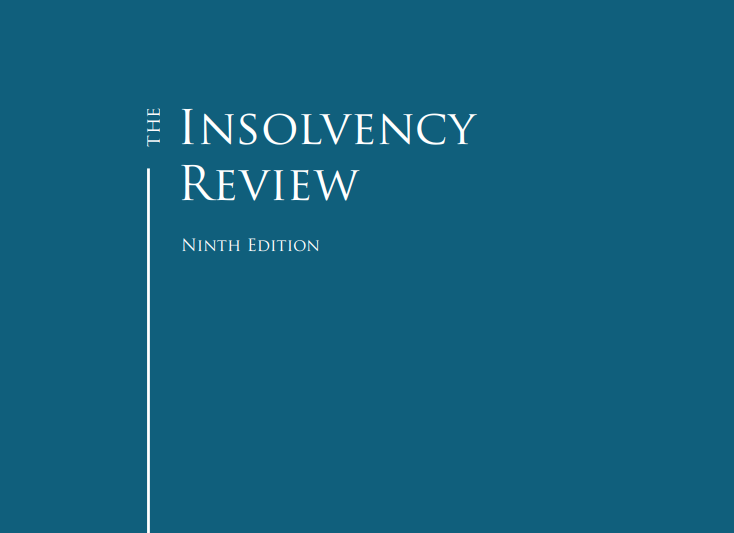 The Insolvency Review 2021